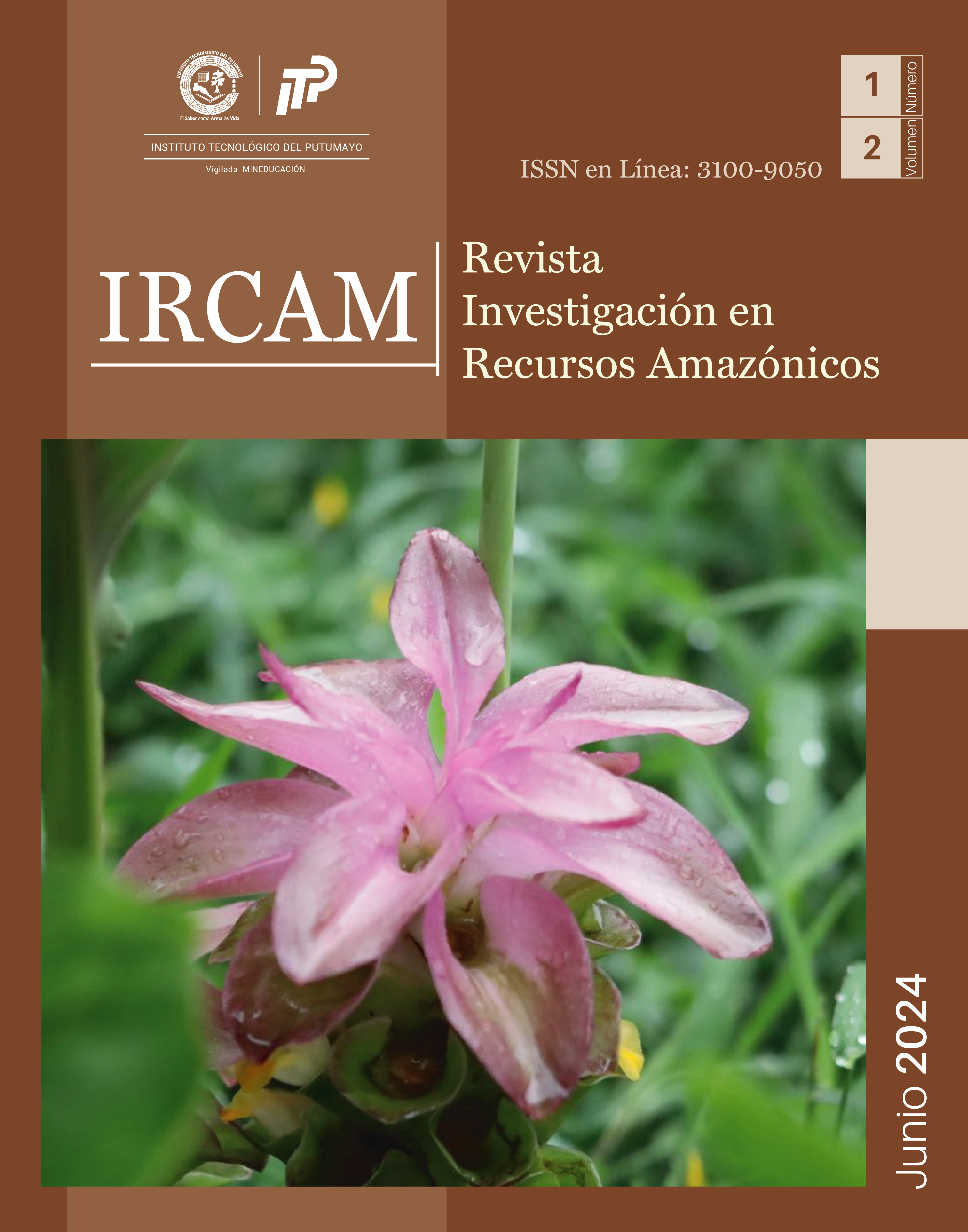 					Ver Vol. 2 Núm. 1 (2024)
				